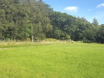 Grass pitches