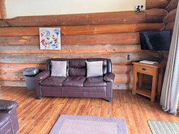 Living area with tv