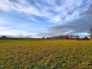Spacious grassy pitches