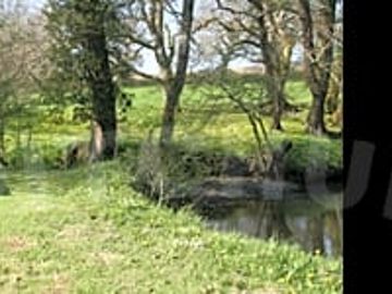 By the river