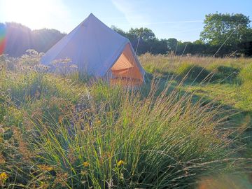 Sunrise in the meadow