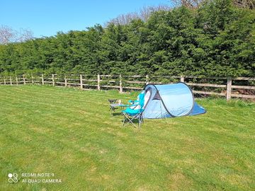 Grass tent pitches