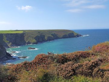 Clifftop walks at porthtowan
