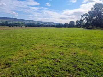 Camping field