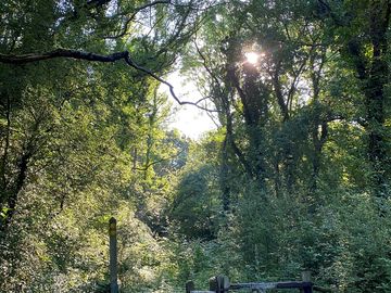 Entrance into the lower woods footpath from the farm