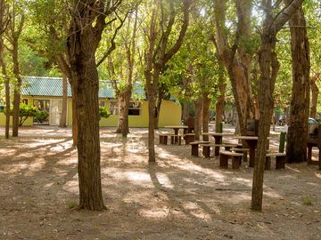 Picnic benches and tables