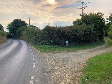 The lane leading to the site