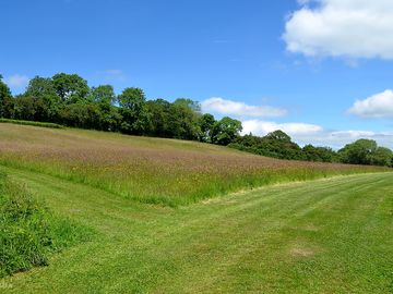 Around the site