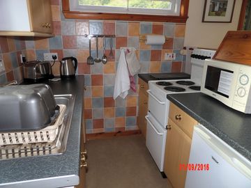 Kitchen area with fridge, microwave, cooker, kettle and toaster