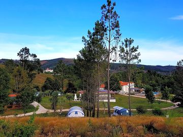 Rental tents under the trees