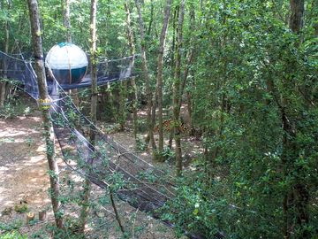 Woodland setting