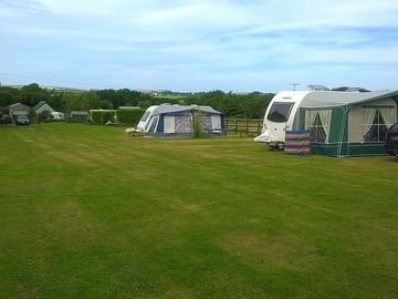 Green and grassy site