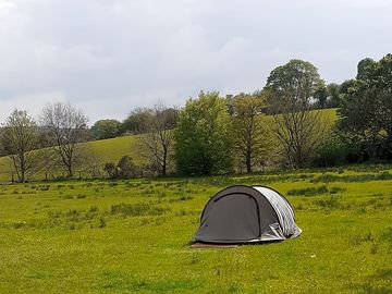Out for the day
