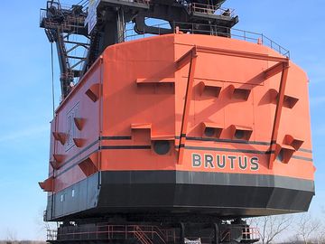 Brutus from the back