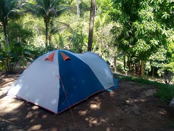 View of site