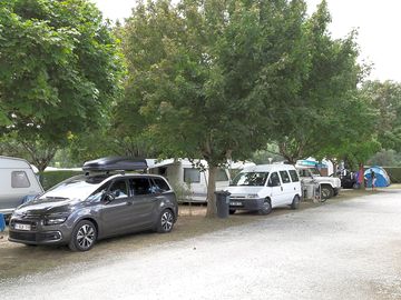Pitches among the trees