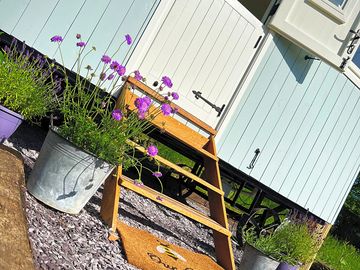 The shepherd's hut