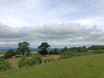 Views from the campsite