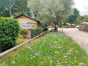 Espace vert du camping