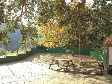 Picnic area with barbecue