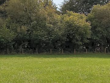 Field