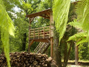 Stairs up to the lodge
