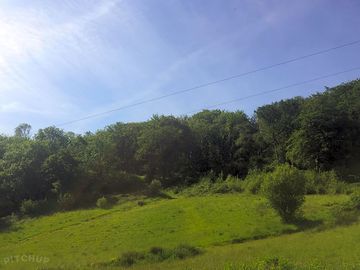 Woodland for you all to enjoy