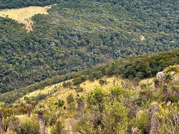 The surrounding countryside
