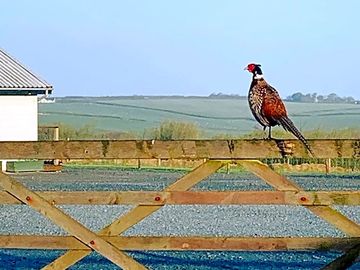 Spectacular rural setting