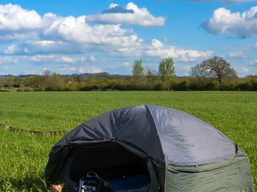 Grassy pitches