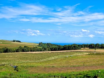 Campsite pitches
