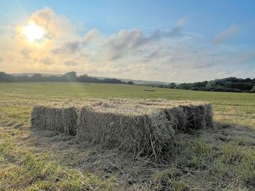 Our lovely camping meadow which also grows our hay