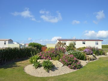 Sandilands flowers