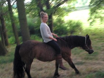 Horse riding in the woods