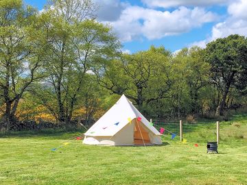 Bell tent, with lots of room to spread out