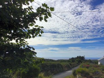 View of local scenery