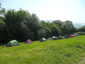 Camping field