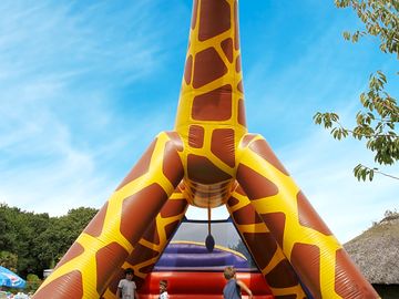 Bouncy 'castle'