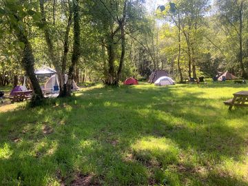 Woodland camping