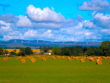 Rural views