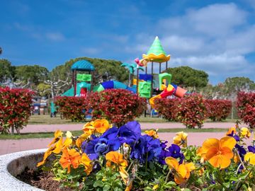 Play area