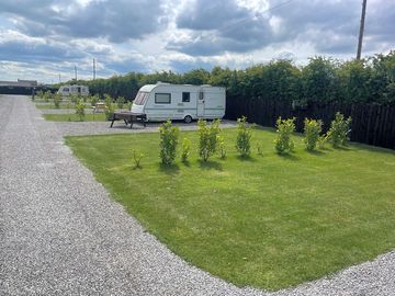 Pitches sheltered by tall hedges