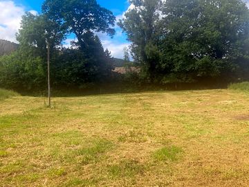 Grass pitches