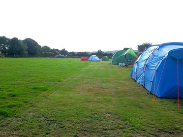 Tent and trailer tent pitches