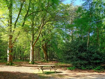 Back to nature feel of setthorns campsite