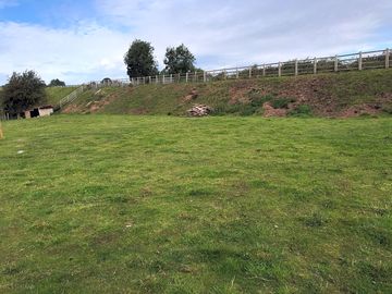 Grass bank