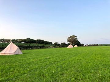 Extensive field with space for everyone