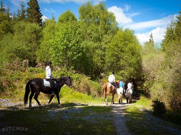 Horse-riding excursion