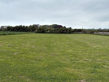 Field