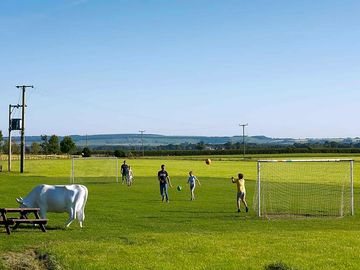 Games field